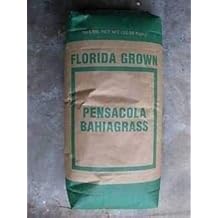 SeedRanch Pensacola Bahia Grass Seed - 25 Lbs