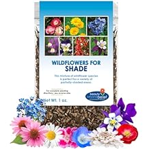 BBB Seed Partial Shade Wildflower Seeds - 1 oz Packet, Open-Pollinated Wildflower Seed Mix, No Fillers, Annual, Perennial Wildflower Seeds for Planting Year Round - 1 oz