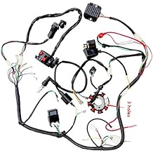 Complete Electrics Wiring Harness Wire Loom Stator Coil CDI For 150cc-300cc ATV Quad Four wheelers Go Kart Dirt Pit bikes